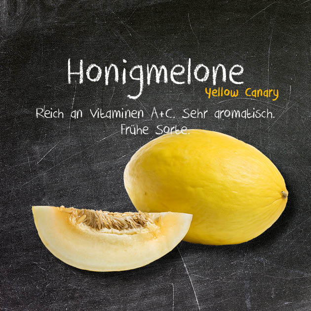 Honigmelone