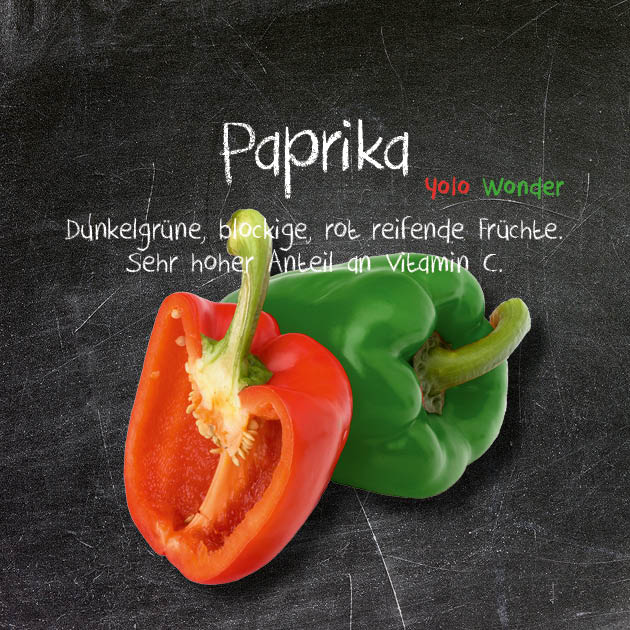 Paprika