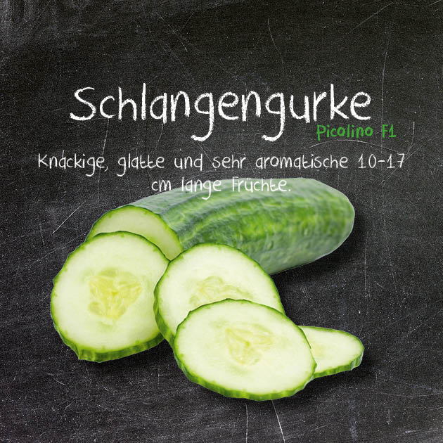Schlangengurke