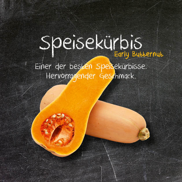 Speisekürbis-EB