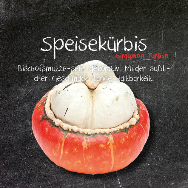 Speisekürbis-GT