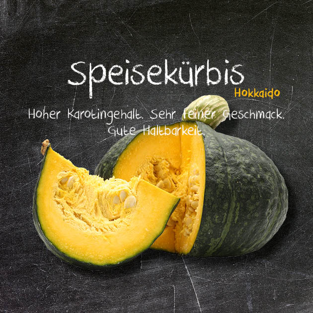 Speisekürbis-HK