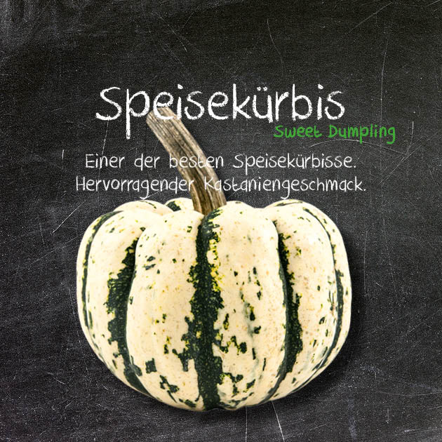Speisekürbis-SD