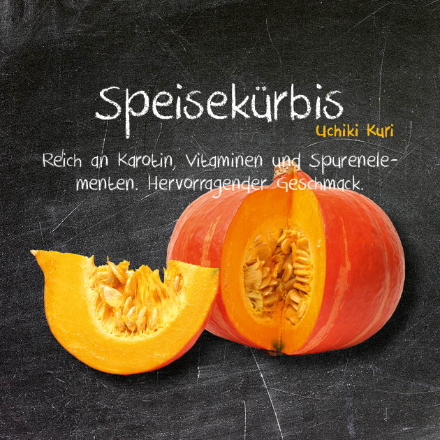 Speisekürbis-UK