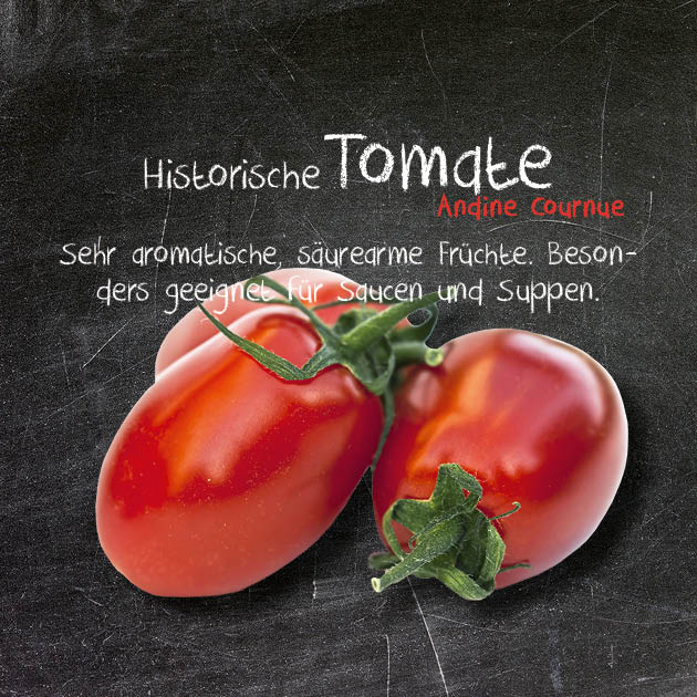 Tomate-AC
