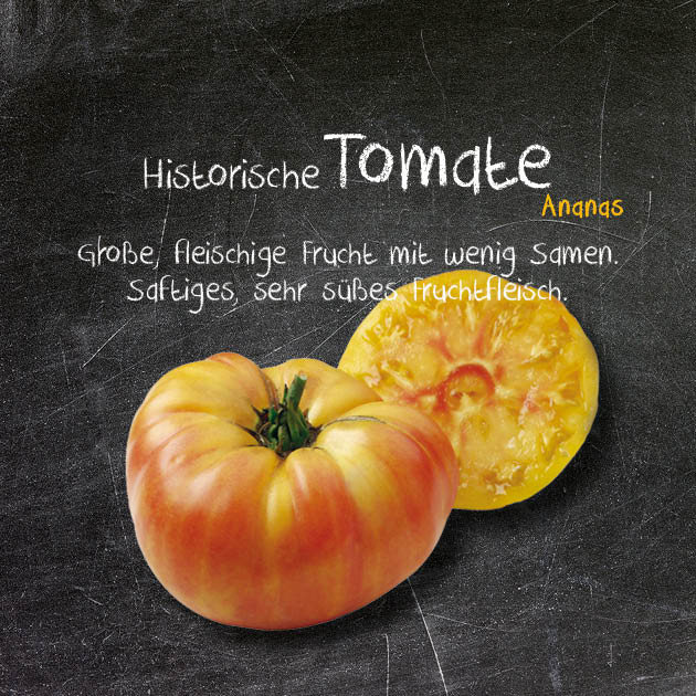 Tomate-AN
