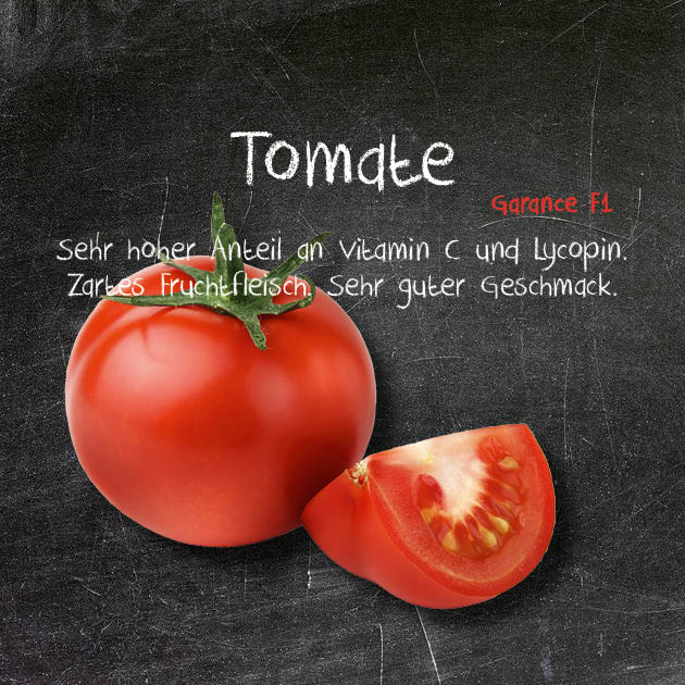 Tomate-GA