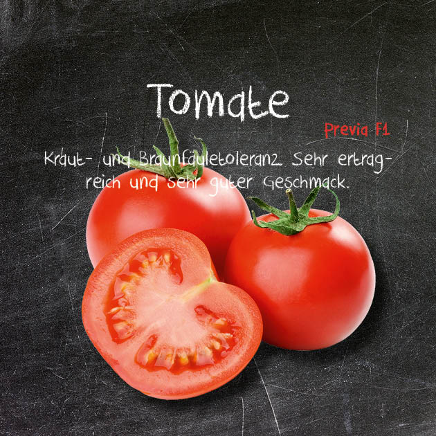 Tomate-PR