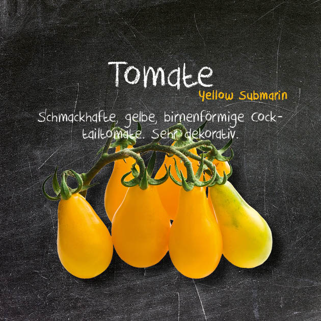 Tomate-YS