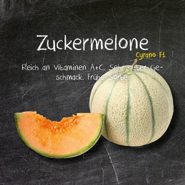 Zuckermelone